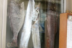 Peixateria a Lisboa